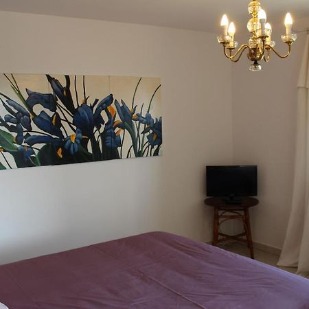 Bellevue Bed & Breakfast Saint-Paterne-Racan Екстериор снимка