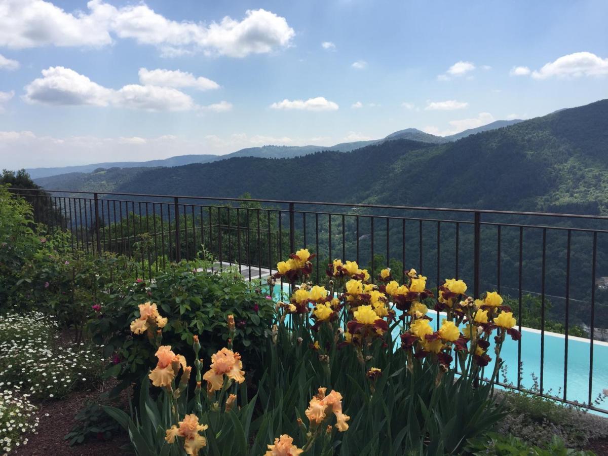 Bellevue Bed & Breakfast Saint-Paterne-Racan Екстериор снимка