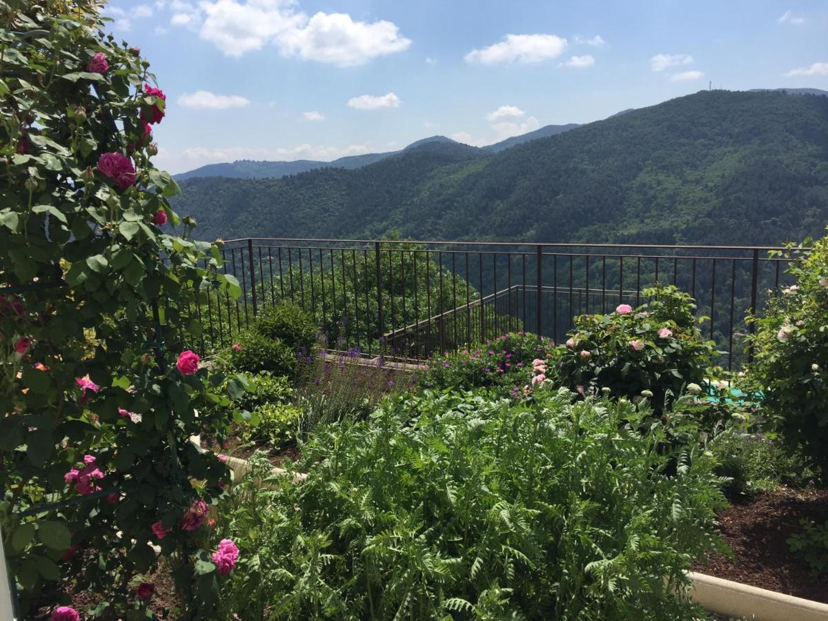 Bellevue Bed & Breakfast Saint-Paterne-Racan Екстериор снимка